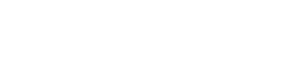 Papstein Media | Digitale Medien, Onlinemarketing und IT logo